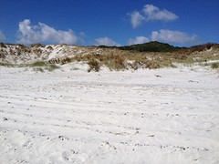 Rarawa Beach