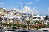 IMG_7587