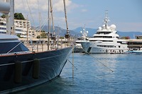 IMG_7594