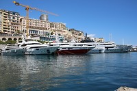 IMG_7599