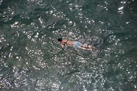 IMG_7906