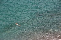 IMG_7899