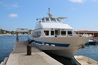 IMG_8077