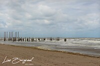 IMG_1222
