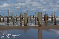 IMG_1250