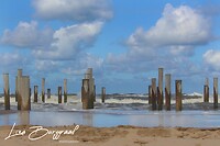IMG_1256