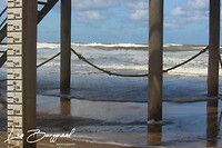 IMG_1259