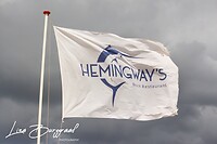 IMG_1275