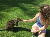 IMG-20170319-WA0011