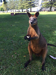 IMG-20170319-WA0013