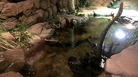WP_20170528_10_11_56_Pro