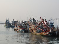 IMG_1884