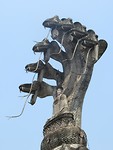 IMG_2693