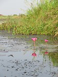 IMG_2807