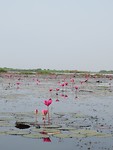IMG_2809