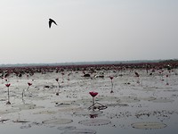 IMG_2817