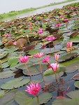 IMG_2851