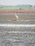 IMG_2877