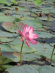 IMG_2880