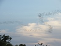 IMG_2985