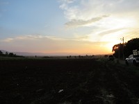 IMG_3011