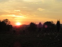 IMG_3022