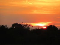 IMG_3031
