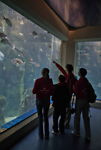 A Coruña aquarium bezoek