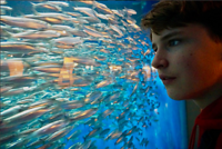 A Coruña aquariumbezoek