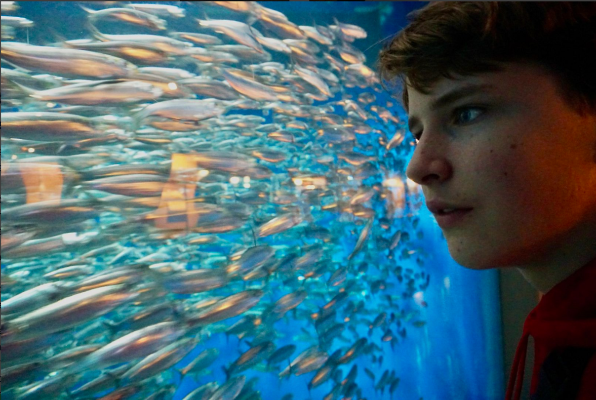 A Coruña aquariumbezoek