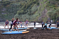 Madeira groep op strand