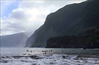 Madeira surfen
