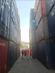 Madeira tussen de containers