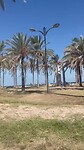 IMG_0727