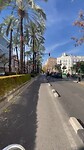 IMG_1782