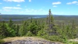 Terra Nova NP