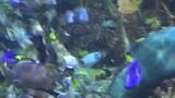 Seattle Aquarium