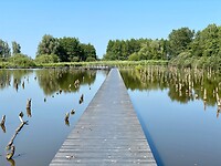 Vlonderpad door het Verdronken Bos
