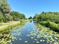 Ergens onderweg