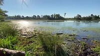 Leersumse Veld
