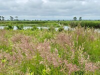 Tiengemeten