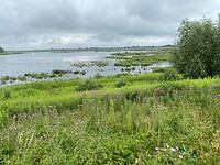 Uitzicht vanaf de Vliedberg
