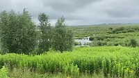 Uitzicht vanaf de Vliedberg (sound on!)