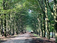 Aan de start van de rondwandeling…