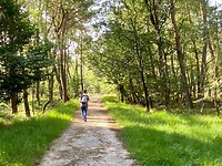 “ De paden op… de lanen in”