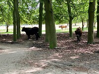 Het was dus de rechtse…