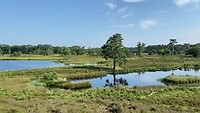 View vanaf het uitkijkpunt (let op de vissende reiger!)