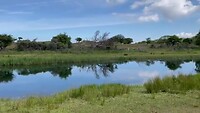 In de Amsterdamse waterleidingduinen
