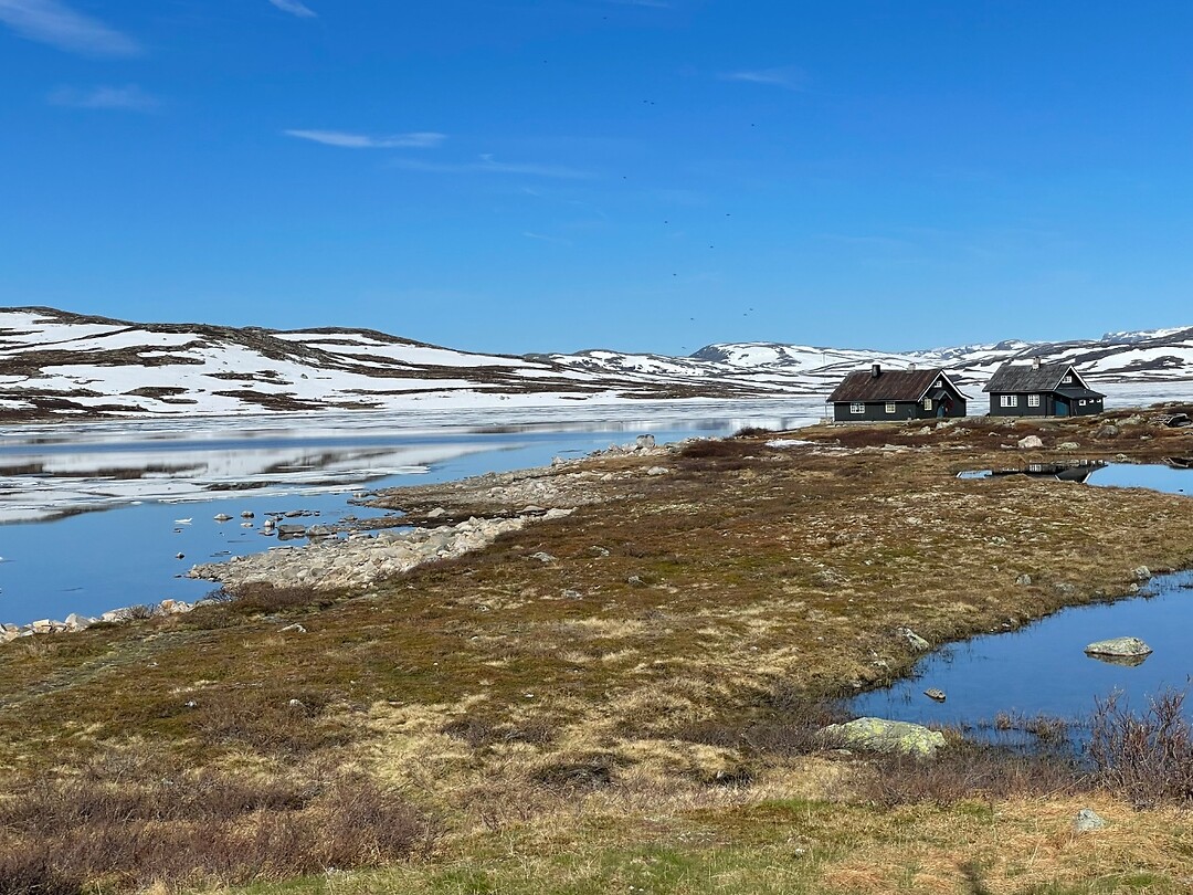 Hardangervidda (3)