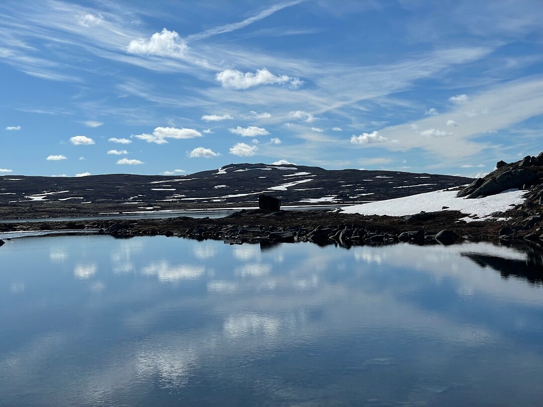 Hardangervidda (4)